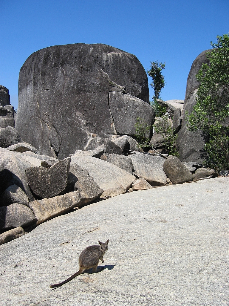 107 Granite gorge.jpg